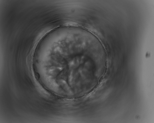 X0000102840049200809021346