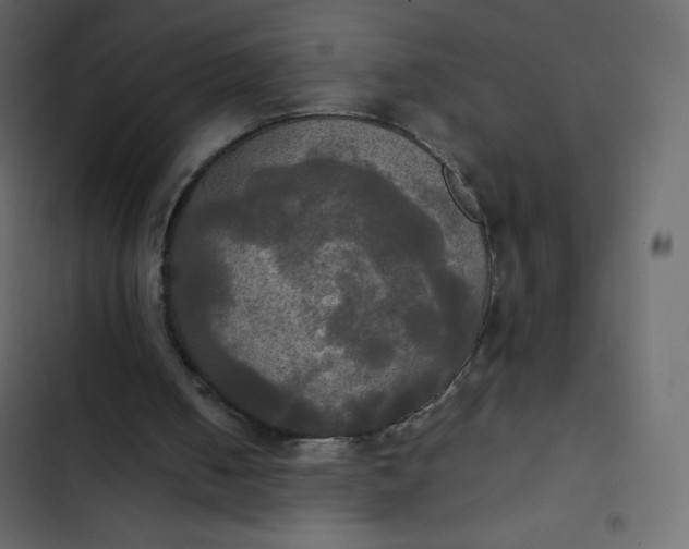 X0000102840050200809021346