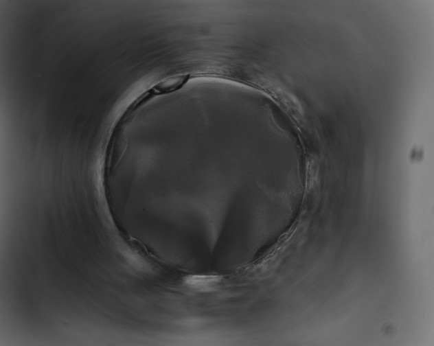 X0000102840051200809021346