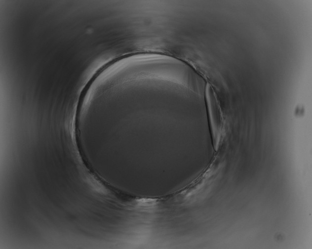 X0000102840052200809021346