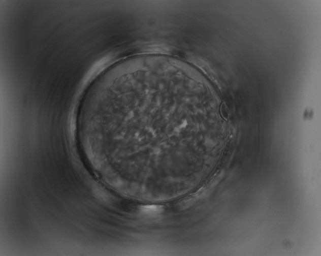 X0000102840053200809021346