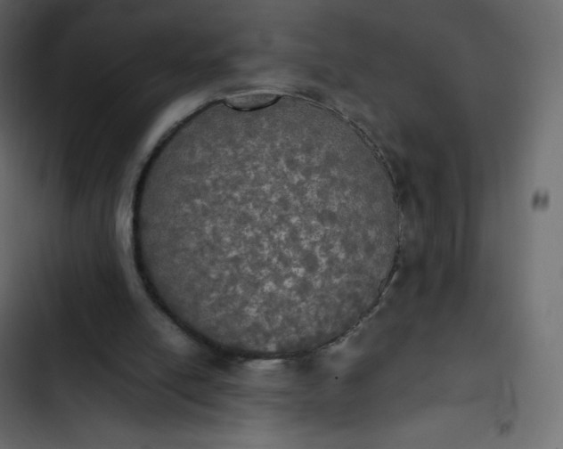 X0000102840054200809021346