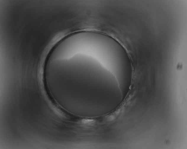 X0000102840055200809021346