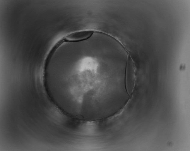 X0000102840056200809021346