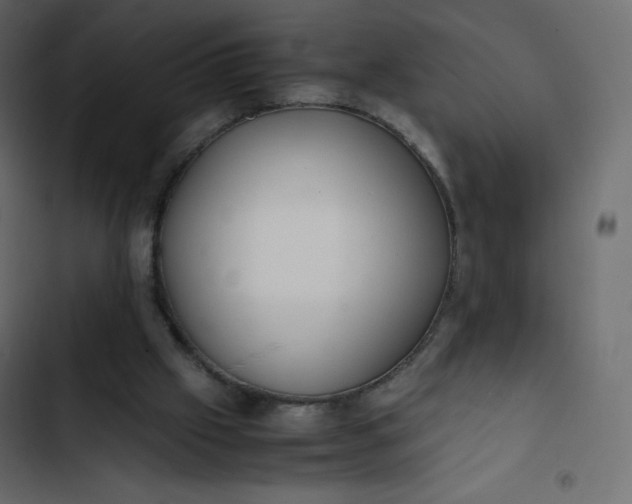 X0000102840057200809021346