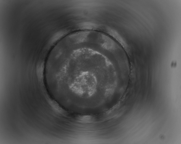 X0000102840058200809021346