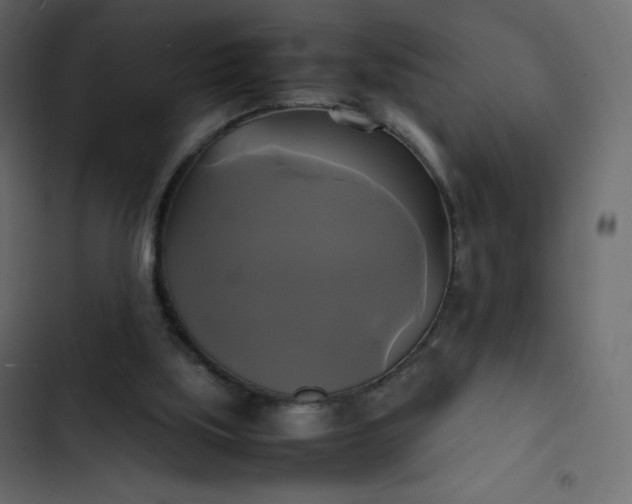 X0000102840059200809021346