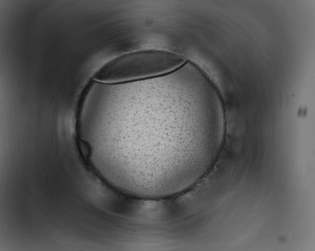 X0000102840060200809021346