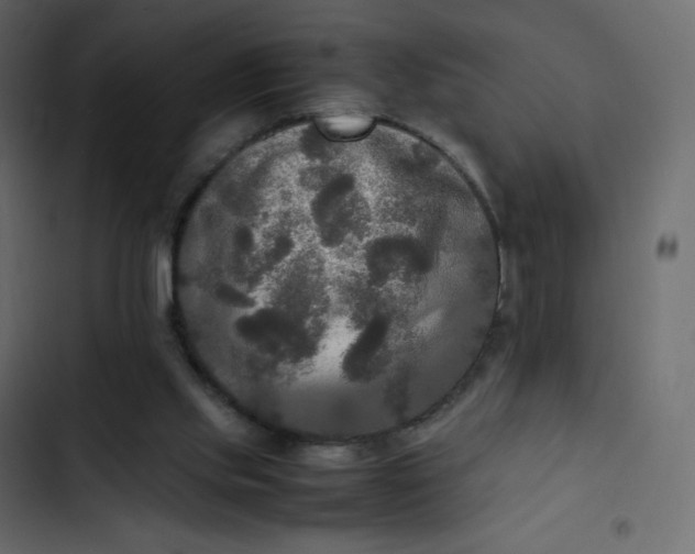 X0000102840061200809021346