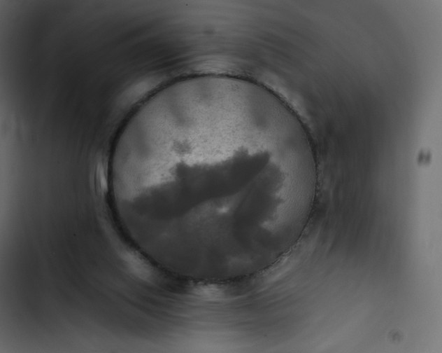 X0000102840062200809021346