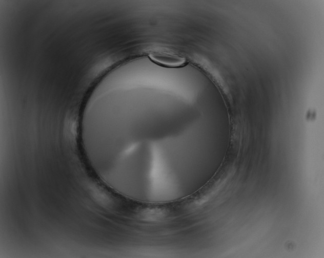 X0000102840063200809021346