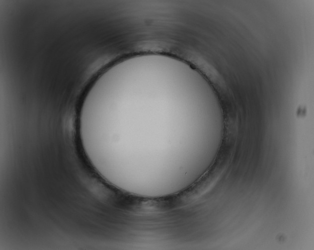 X0000102840064200809021347