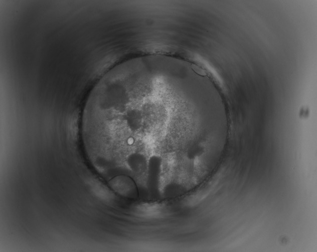 X0000102840065200809021347