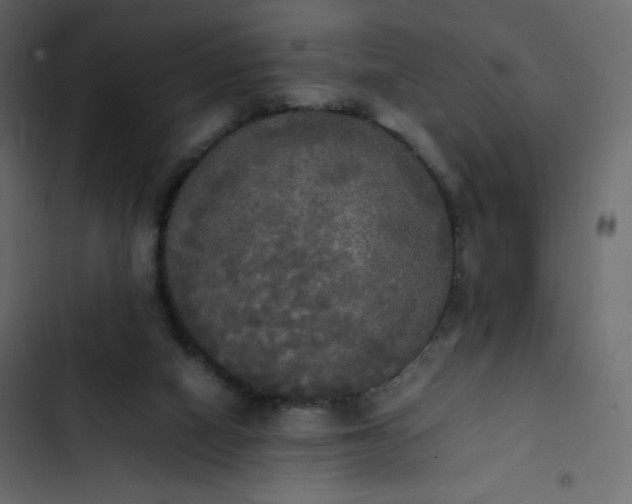 X0000102840066200809021347