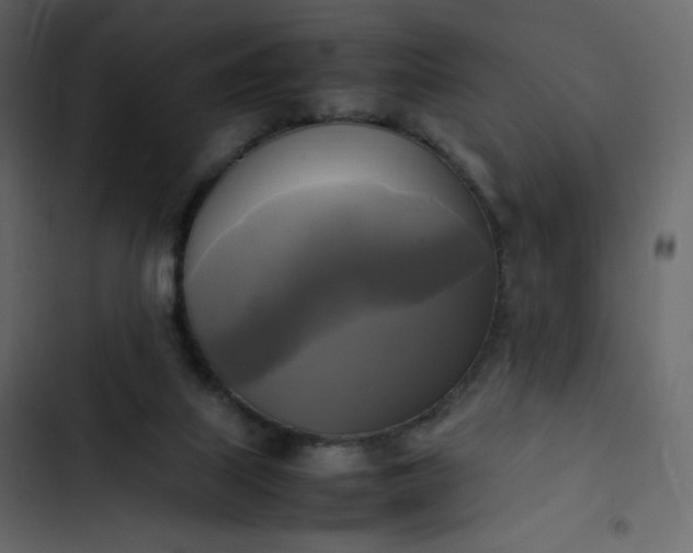 X0000102840067200809021347