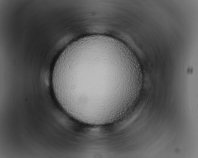 X0000102840068200809021347