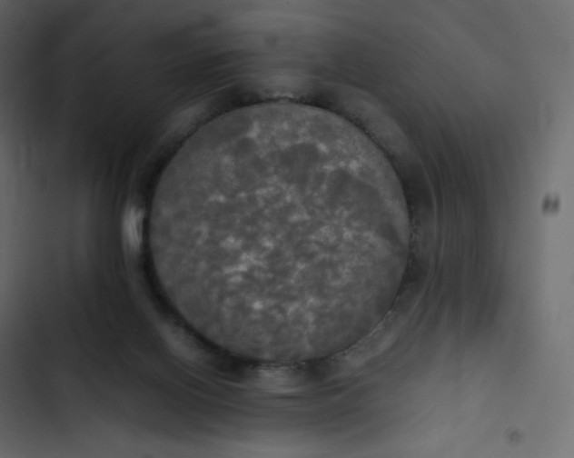 X0000102840070200809021347