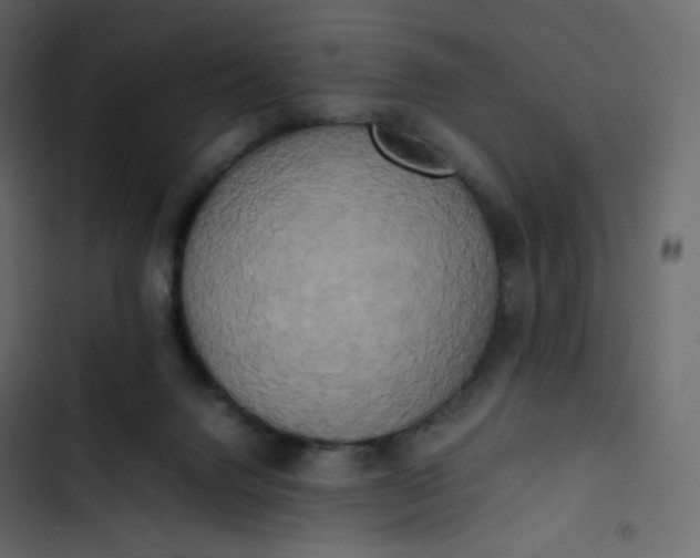 X0000102840072200809021347