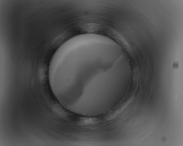 X0000102840073200809021347