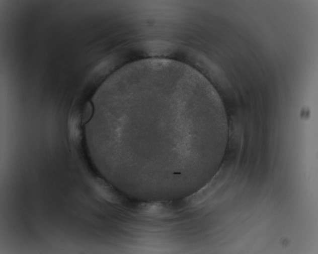 X0000102840074200809021347