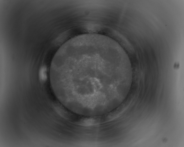 X0000102840075200809021347