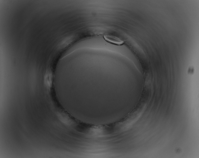 X0000102840076200809021347