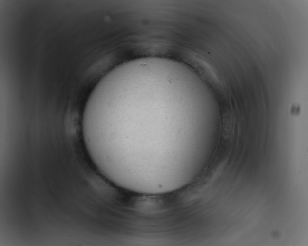 X0000102840077200809021347