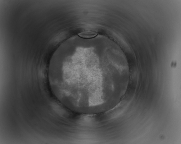 X0000102840078200809021347