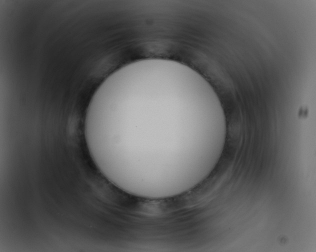 X0000102840079200809021347