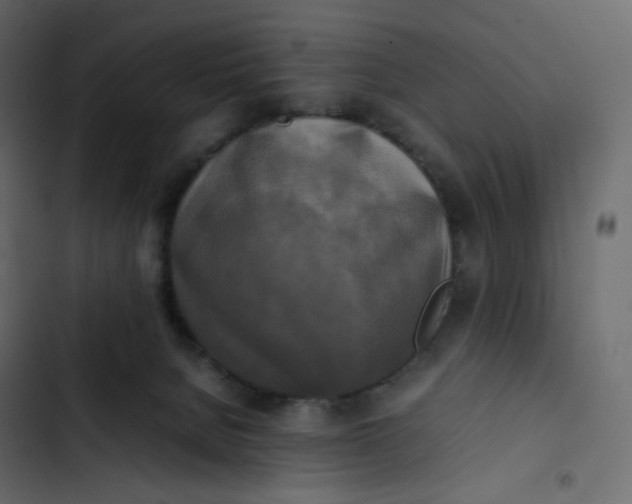 X0000102840080200809021347