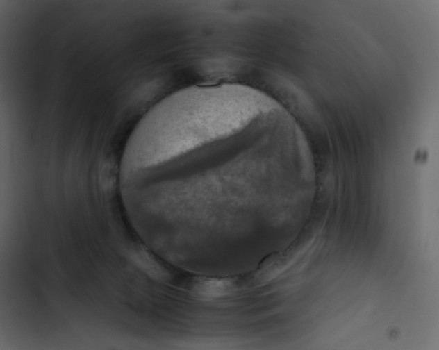 X0000102840081200809021347