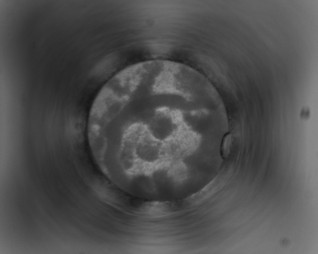 X0000102840082200809021347