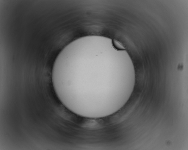 X0000102840083200809021347