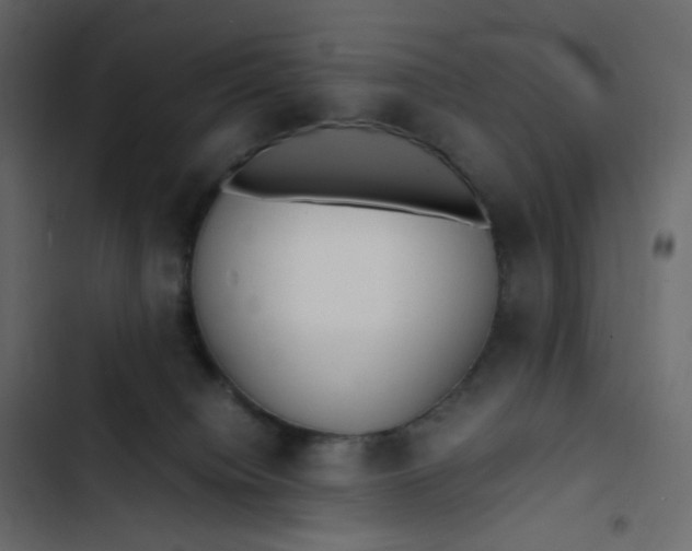 X0000102840084200809021347