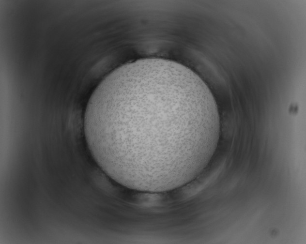 X0000102840085200809021347