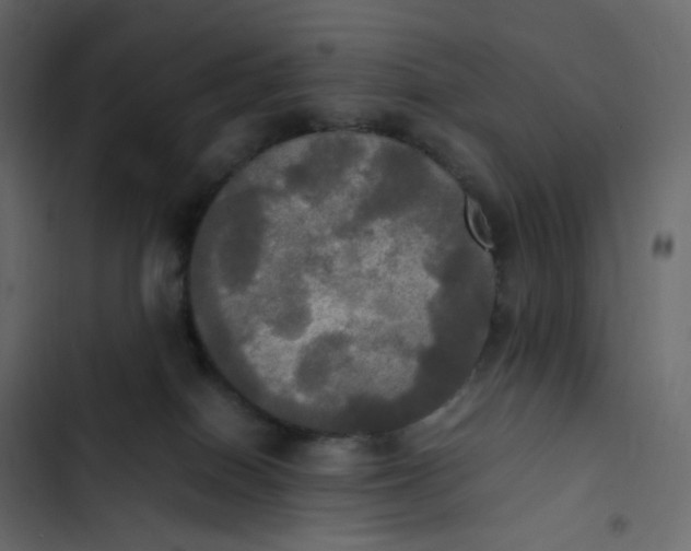 X0000102840086200809021347