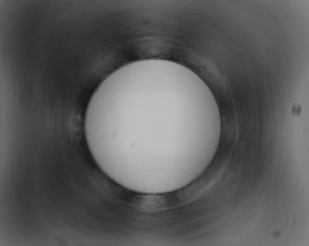 X0000102840087200809021347