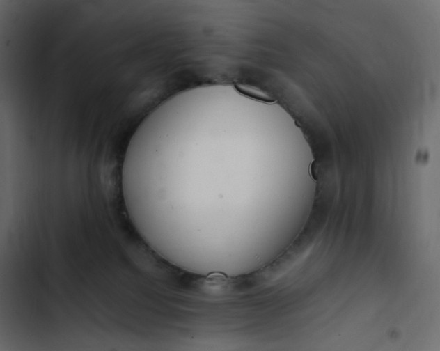 X0000102840088200809021347