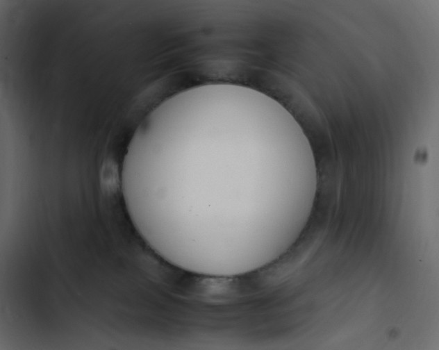 X0000102840089200809021347