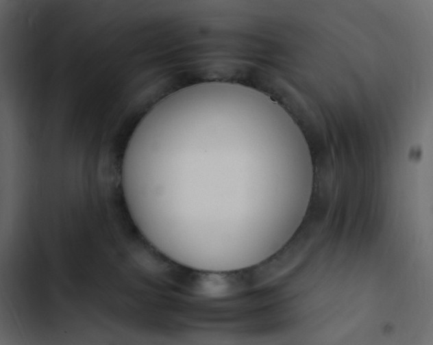 X0000102840091200809021347