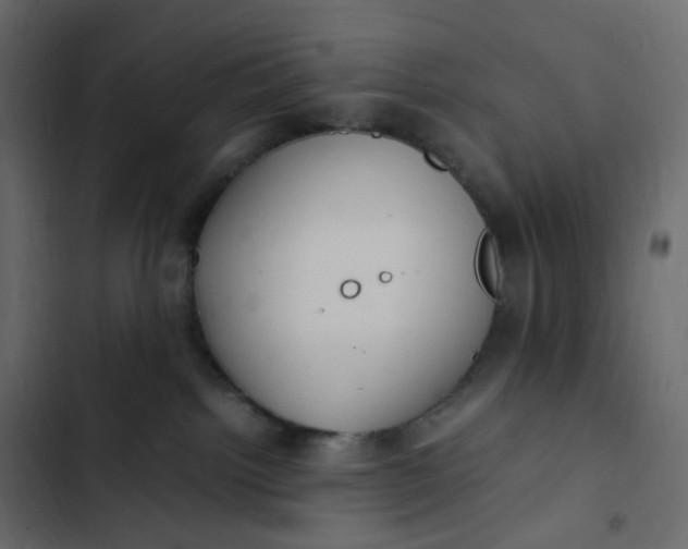 X0000102840092200809021347