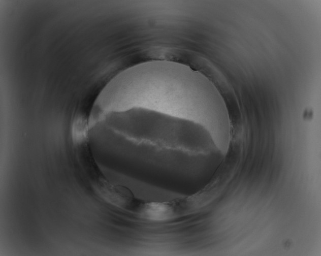 X0000102840095200809021347