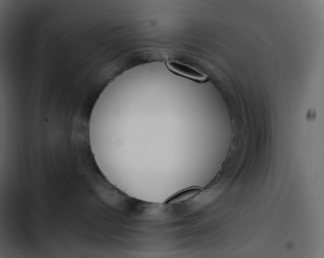 X0000102840096200809021347