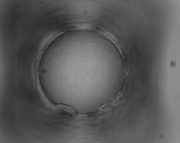 X0000102840097200809021346