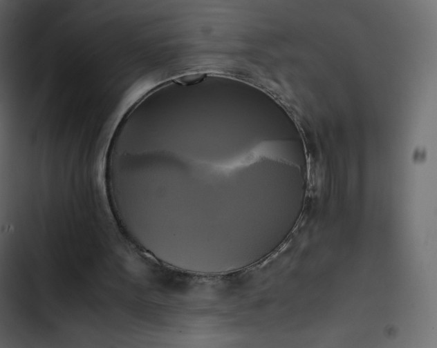 X0000102840099200809021346