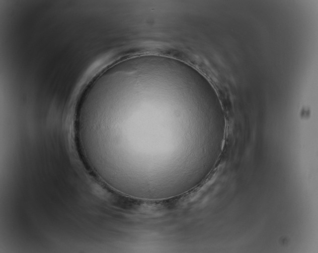 X0000102840101200809021346