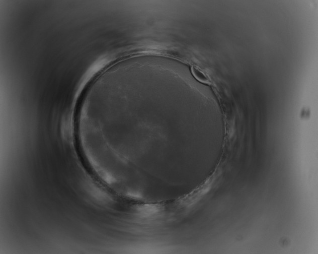 X0000102840102200809021346