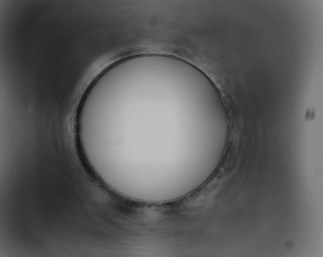 X0000102840103200809021346