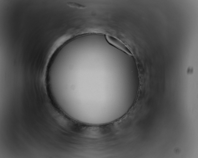 X0000102840104200809021346