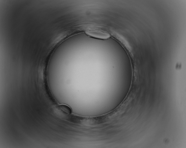 X0000102840105200809021346